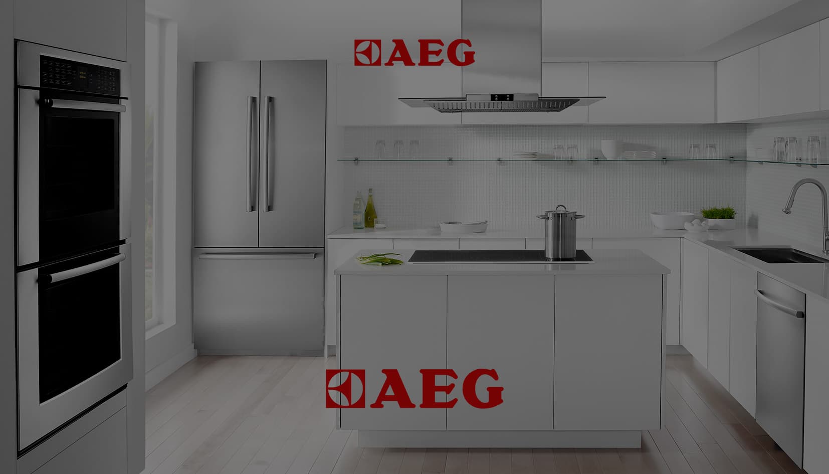 AEG İzmir Merkez Servis
